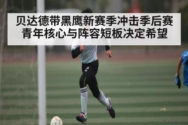 贝达德带黑鹰新赛季冲击季后赛 青年核心与阵容短板决定希望